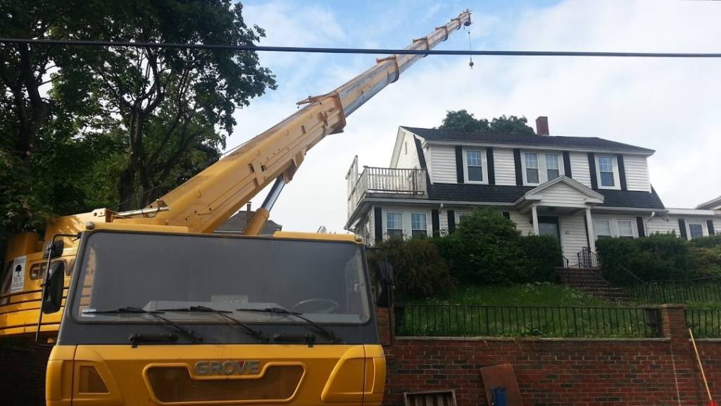 Delicate tree removal in Winchester, MA--Middlesex Tree Service