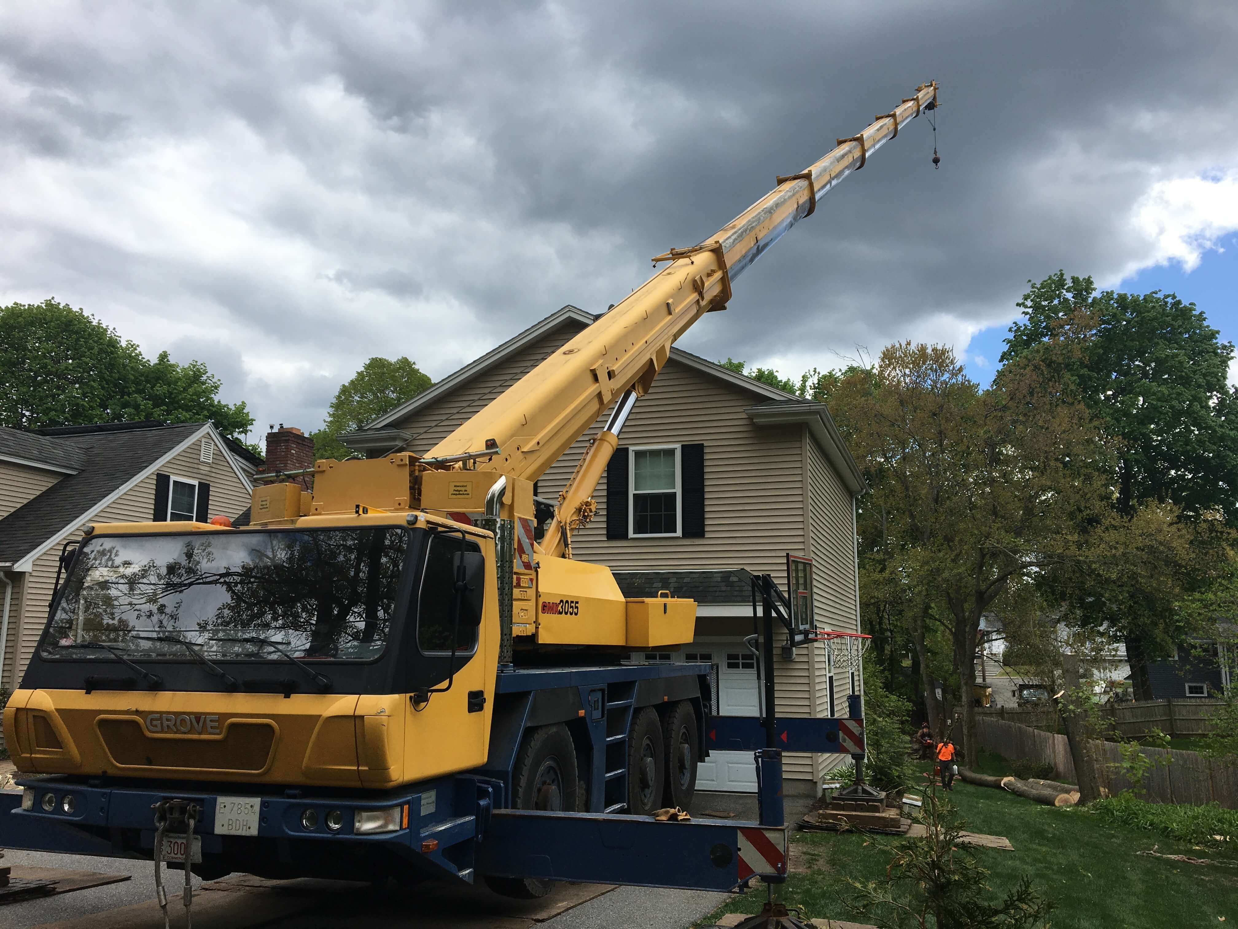 Middlesex Tree Service can handle any size job