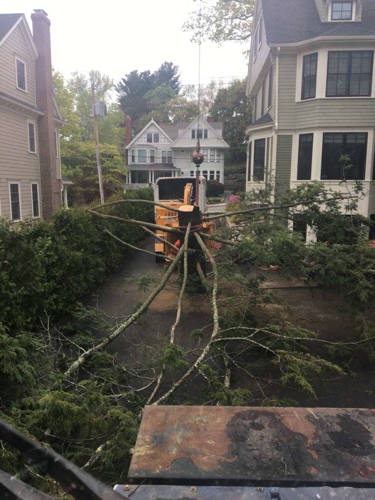 Chipping operation in close quarters during tree removal in Melrose, MA--Middlesex Tree Service