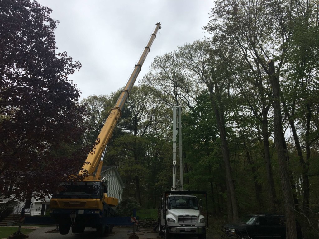 Crane and 60 ft. bucket truck at work removing large tree in close quarters--Middlesex Tree Service