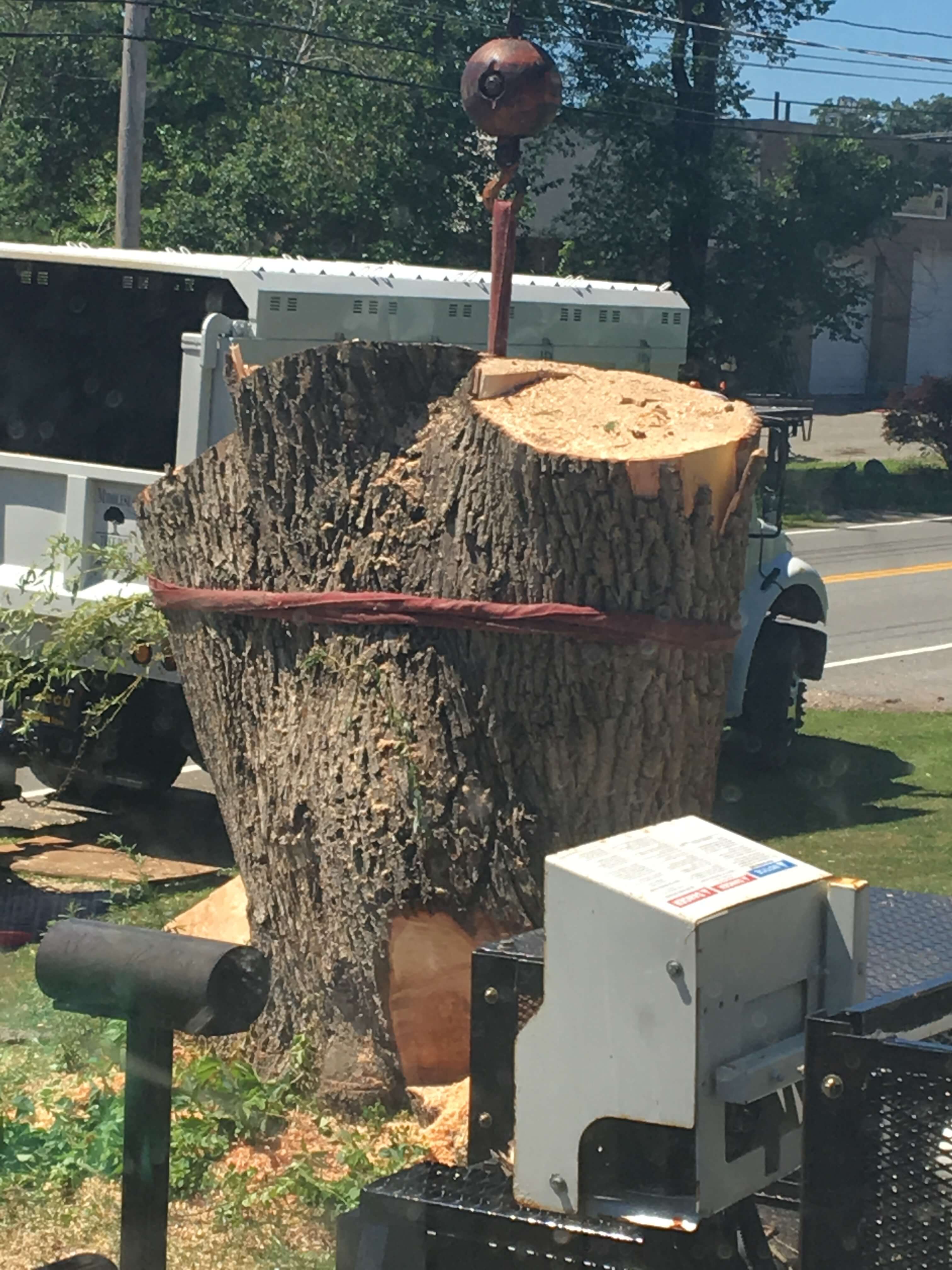 We can handle anything at Middlesex Tree Service