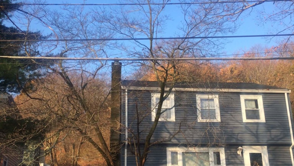 House and wire clearance tree trimming in Malden, MA