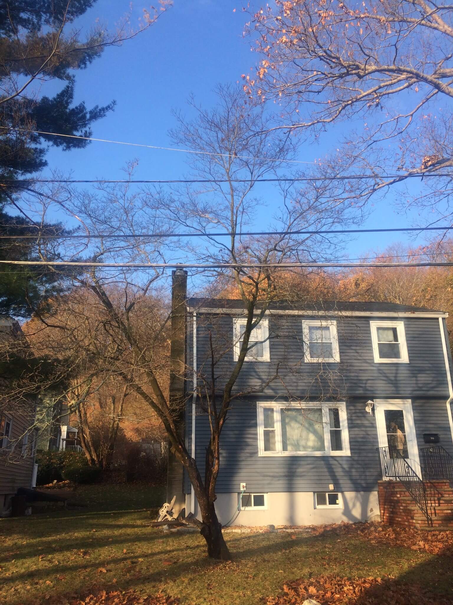 House and wire clearance tree trimming in Malden, MA